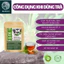Trà điều kinh ích mẫu- DIỆP CHI- giúp điều hòa kinh, giảm đau bụng, lưng ngày đèn đỏ- 40 Túi lọc