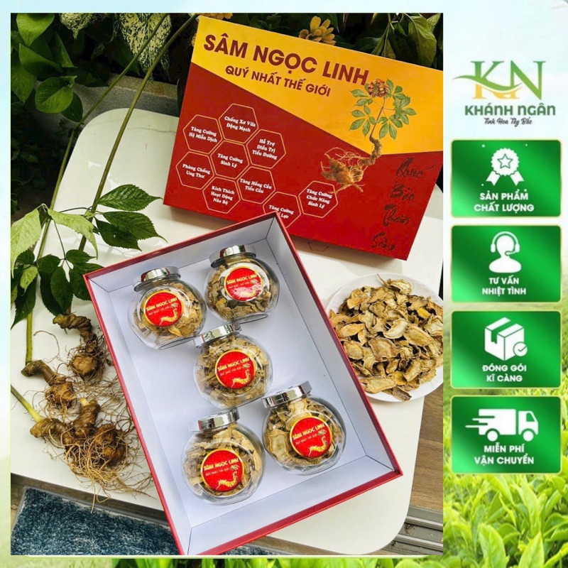 Sâm Ngọc Linh - Sâm Lai Châu sấy khô(Hàng chuẩn sâm ruột vàng loang tím) dược tính cao đậm chất sâm