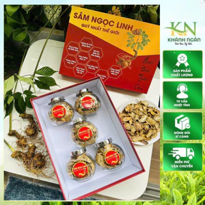 Sâm Ngọc Linh - Sâm Lai Châu sấy khô(Hàng chuẩn sâm ruột vàng loang tím) dược tính cao đậm chất sâm