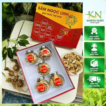 Sâm Ngọc Linh - Sâm Lai Châu sấy khô(Hàng chuẩn sâm ruột vàng loang tím) dược tính cao đậm chất sâm