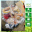 Pín hươu đại bổ 12 vị dược liệu quý (pín hươi ,đẳng sâm,hồng sâm,lộc giác)