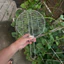 Vỉ Nướng Inox Tròn Tay Cầm – Đa Kích Thước, Tiện Dụng Cho BBQ, Hải Sản, Nướng Bánh