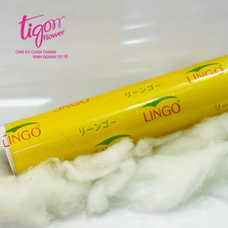 MÀNG THỰC PHẨM 45cmx500m ĐỂ BỌC TRÁI CÂY - Dai, dài, căng bóng (Không kèm hộp)