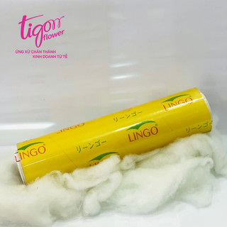 MÀNG THỰC PHẨM 45cmx500m ĐỂ BỌC TRÁI CÂY - Dai, dài, căng bóng (Không kèm hộp)