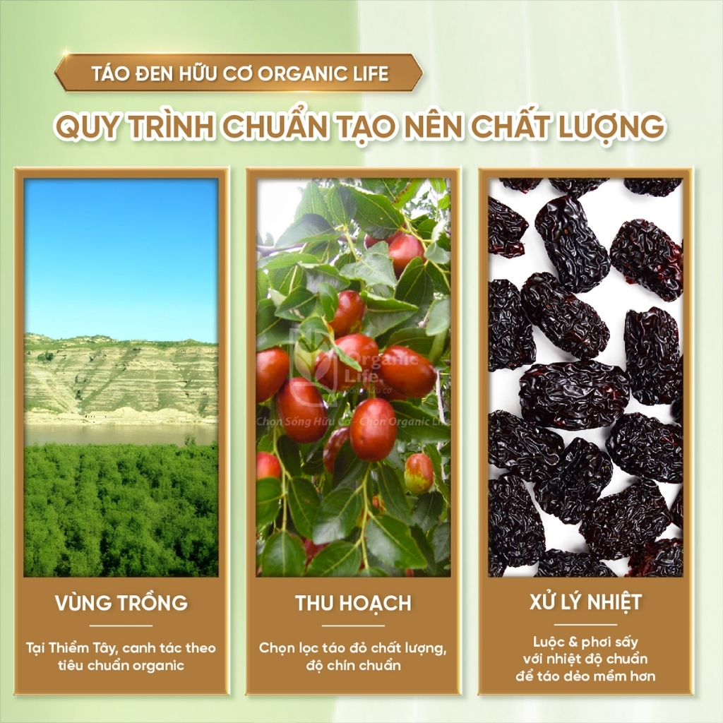 Táo đen hữu cơ Organic Life Black Jujube 400G