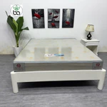 Nệm Cao Su Non Hoạt Tính Thiên Long 1m8 x 2m - Đệm Giường Cao Su Than Hoạt Tính Kháng Khuẩn Phù Hợp Gia Đình Có Con Nhỏ — ảnh 2