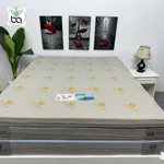 Nệm Cao Su Non Hoạt Tính Thiên Long 1m8 x 2m - Đệm Giường Cao Su Than Hoạt Tính Kháng Khuẩn Phù Hợp Gia Đình Có Con Nhỏ — ảnh 7