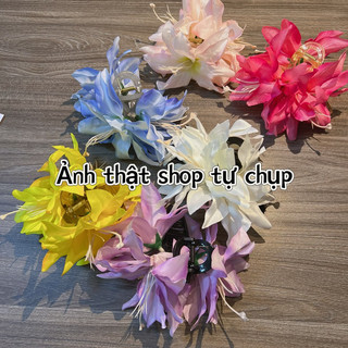 Kẹp Tóc Cá Mập Kẹp Tóc Hoa Ly Ngọt Ngào Phụ Kiện Đi Biển Du Lịch
