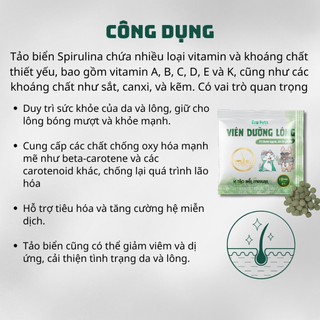 Viên Dưỡng Lông Cho Chó Mèo Ecopets - Hỗ Trợ Cải Thiện Tình Trạng Rụng Lông, Dưỡng Lông Sáng Bóng