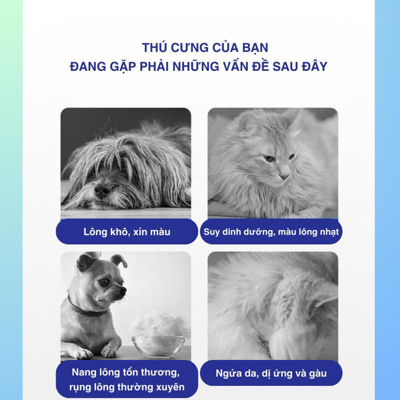 Dầu cá biển sâu Medipet dạng viên nén cho chó và mèo giảm rụng lông, tăng đề kháng