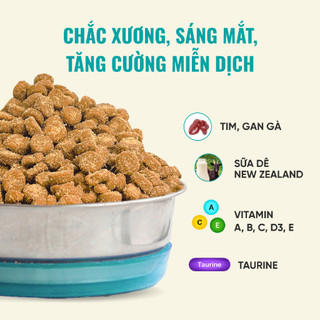 Thức Ăn Cho Mèo Bite Of Wild B45 Gói 1KG, 45% Độ Đạm, Không Chứa Ngũ Cốc, Cho Mèo Mọi Lứa Tuổi