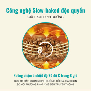 Thức Ăn Cho Mèo Bite Of Wild B45 Combo 4 Gói 1KG 45% Độ Đạm Không Chứa Ngũ Cốc Cho Mèo Mọi Lứa Tuổi