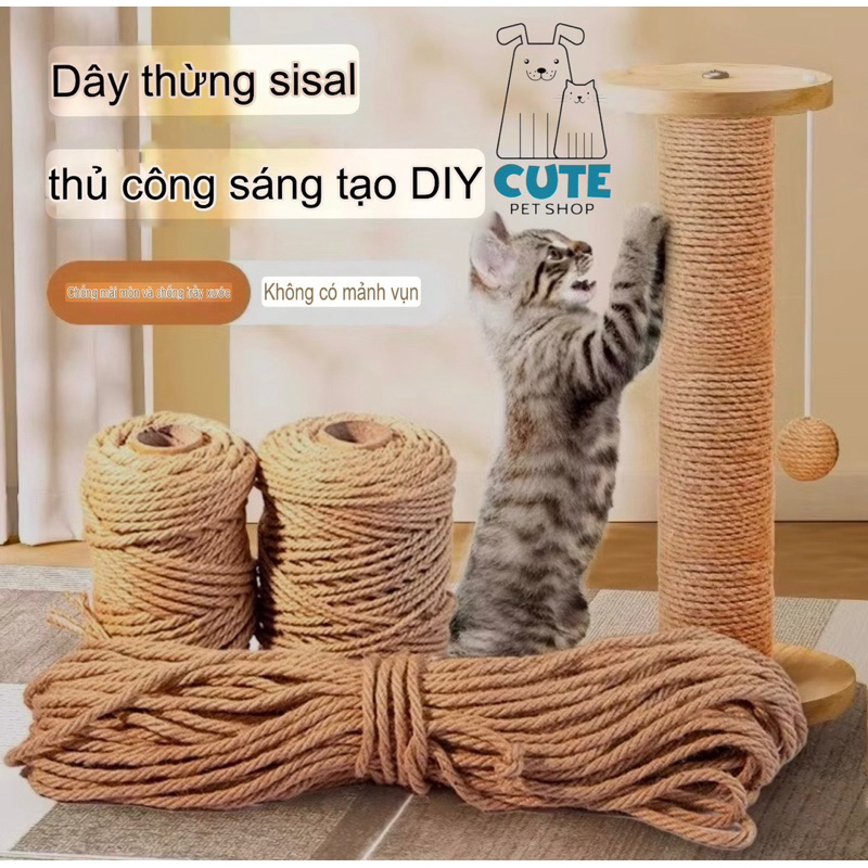 vn-11134207-7ra0g-m6vfs31s0shk38