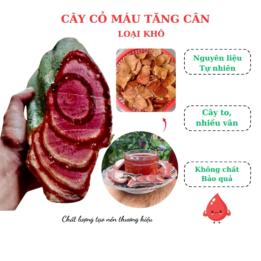 Cỏ máu tăng cân khô hàng chuẩn đã lọc sạch vụn loại …