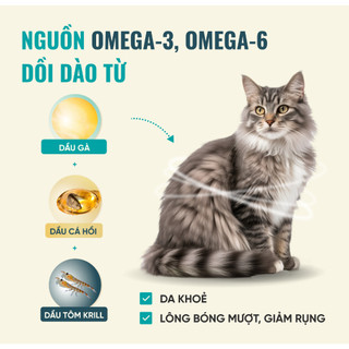 Thức Ăn Cho Mèo Bite Of Wild B45 Gói Dùng Thử 50g 95% Thịt Tươi Không Ngũ Cốc Cho Mèo Mọi Lứa Tuổi