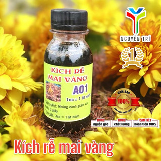 Kích rễ Mai Vàng A01 Thuốc Kích Rễ Mạnh 100ml Cho Cây Mai Vàng