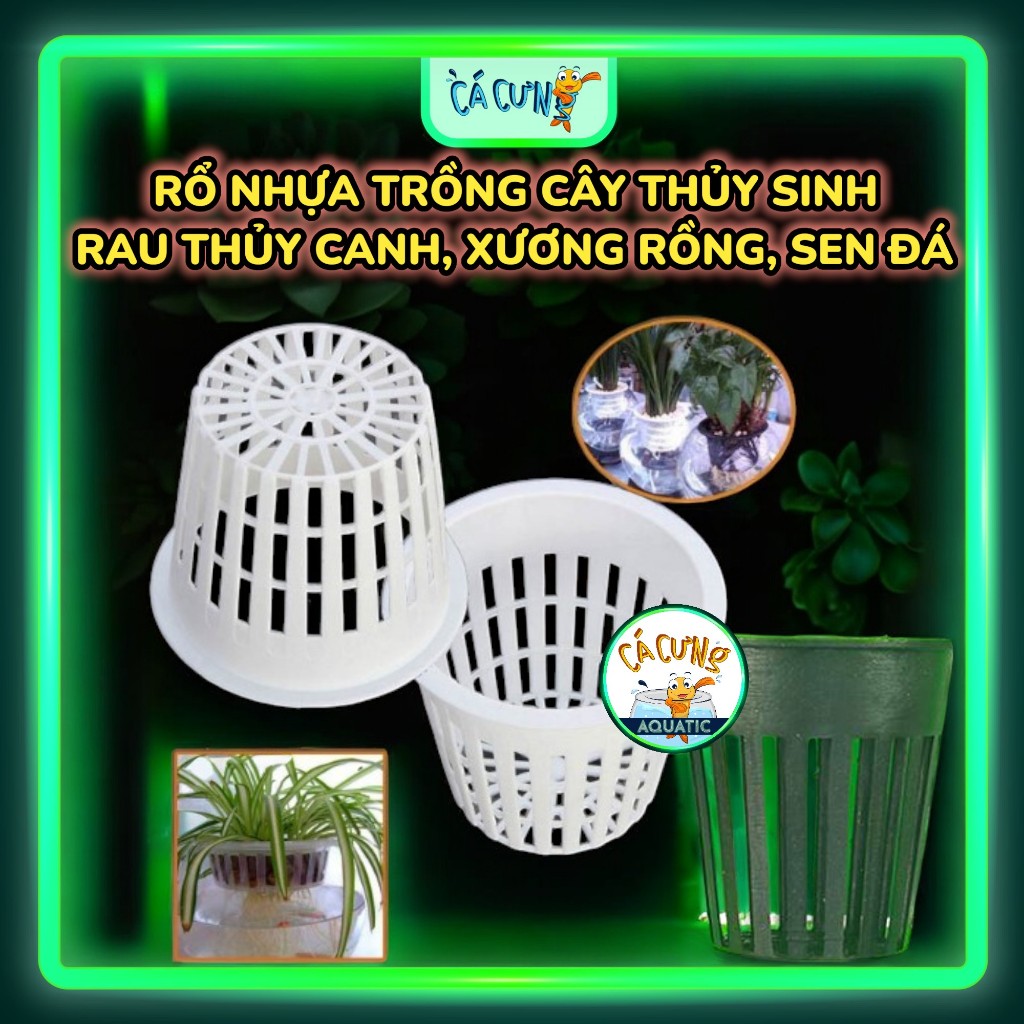 Chậu Nhựa Mini Cắm Cây Thủy Sinh | Rổ Nhựa Trồng Rau thủy canh, Xương ...