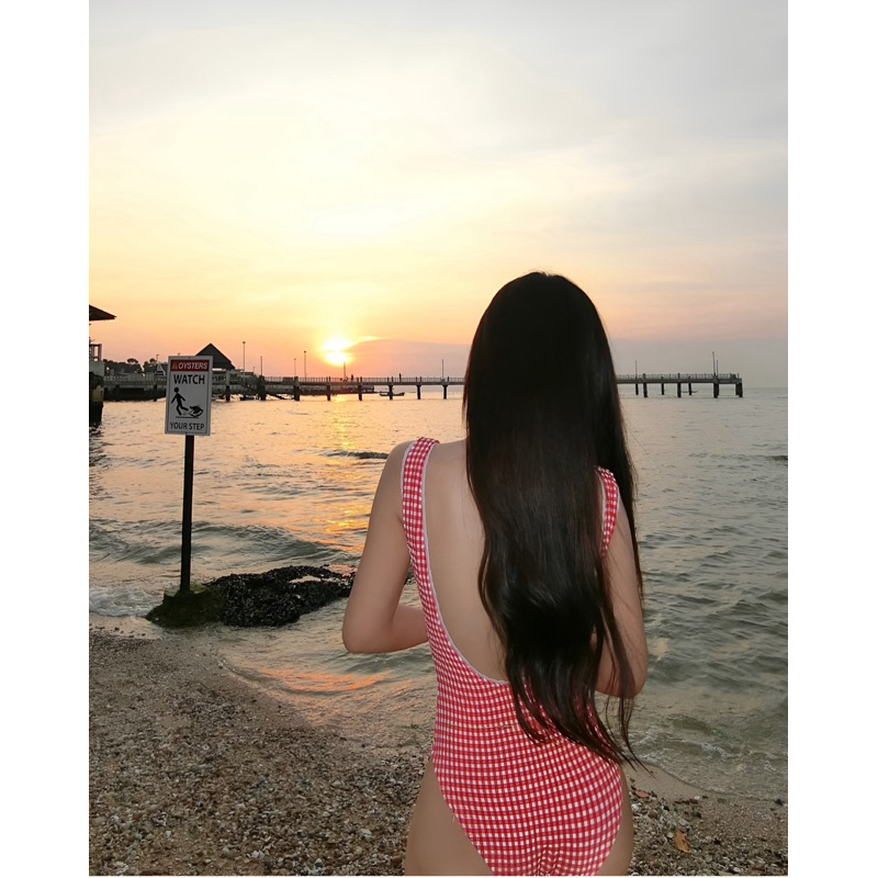 Bikini 1 mảnh vải thun lạnh hoạ tiết kẻ caro hồng - Mẫu mới 2025