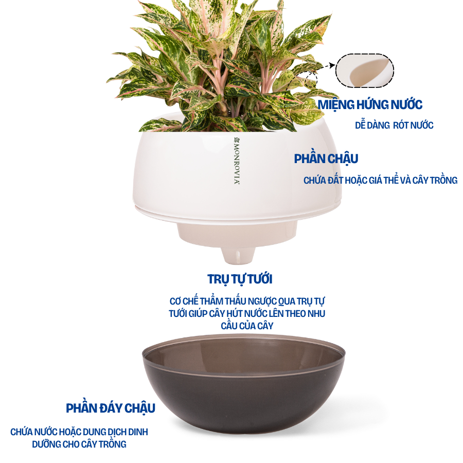 Ảnh Chậu tự tưới để bàn I0 Monrovia, dáng chậu tròn, chất liệu nhựa PP, màu sắc sang trọng 2
