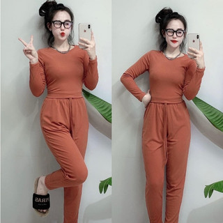 Set dài tay,Bộ dài tay cho Nữ chất vải thun tăm size 38-62 kg áo croptop quần ống đứng chất vải mềm mại co dãn thoải mái