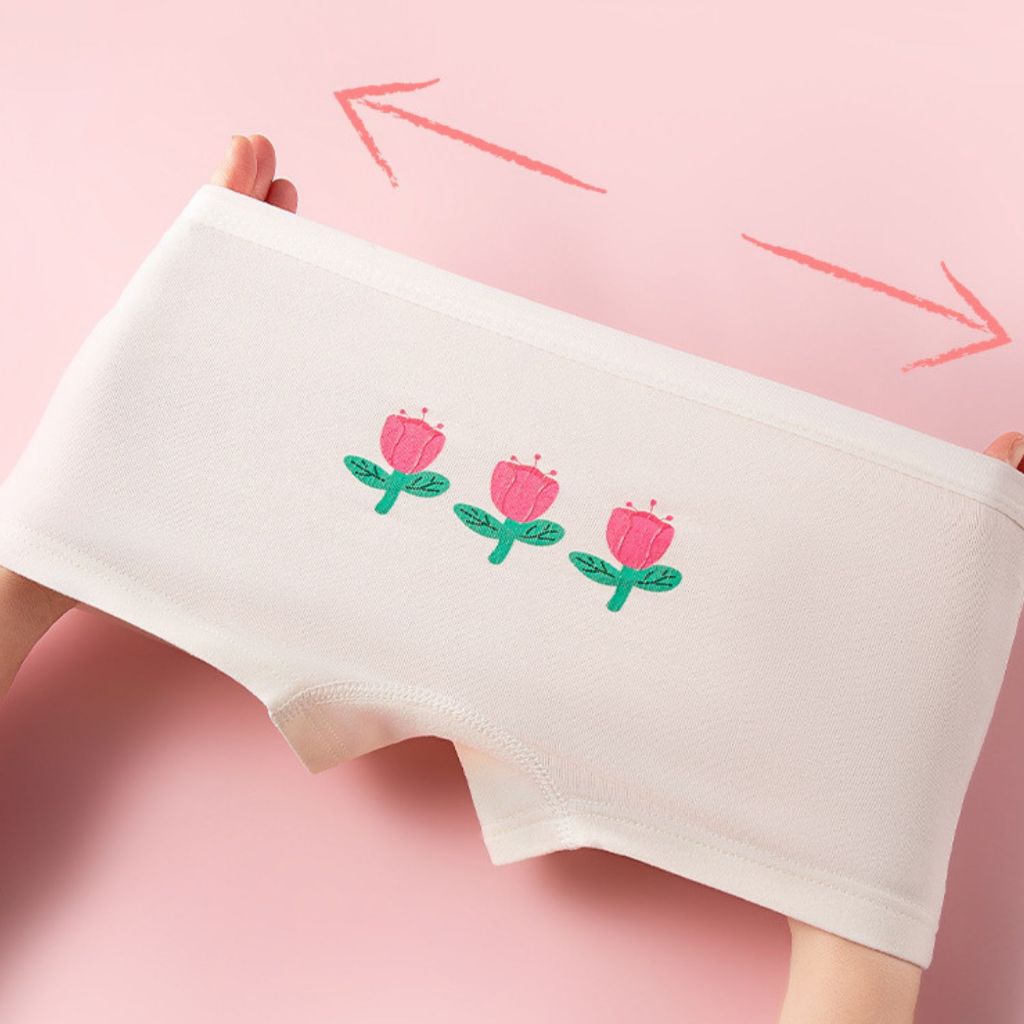 Combo 4 Quần Lót Bé Gái Hoạt Tiết Đáng Yêu, Quần Chip Cotton Đùi Mềm Mịn, Thoáng Mát ZANABRA L8026