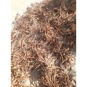 Củ sâm nổ khô (sâm tanh tách, sâm đất), là loại mọc tự nhiên núi Khánh Hòa, phơi khô bằng nắng tự nhiên