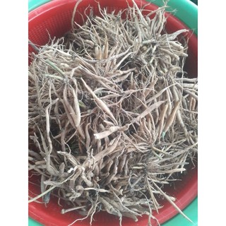 Củ sâm nổ khô (sâm tanh tách, sâm đất), là loại mọc tự nhiên núi Khánh Hòa, phơi khô bằng nắng tự nhiên