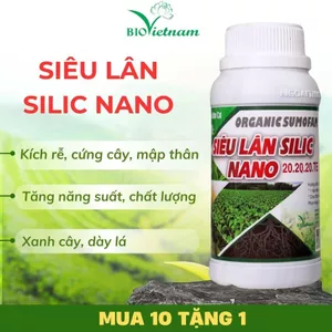 Phân bón Siêu Lân Silic Nano 250ml kích rễ, cứng cây | BIO VIỆT NAM