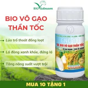 Phân bón hữu cơ BIO VÔ GẠO THẦN TỐC 250ml dạng nước | BIO VIỆT NAM