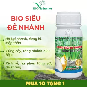 Phân bón hữu cơ BIO SIÊU ĐẺ NHÁNH 250ml giúp cây lúa siêu đẻ nhánh, nở bụi, cứng cây, kích rễ phát triển