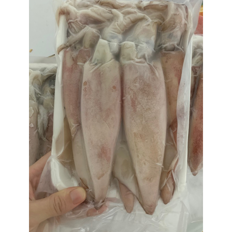 [ 1KG ]Mực ống to 10-12con | Shopee Việt Nam