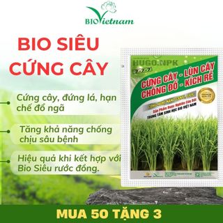 Phân bón hữu cơ BIO SIÊU CỨNG CÂY - ngắn lòng, cứng cây, hạn chế đổ ngã, kích rễ | BIO VIỆT NAM