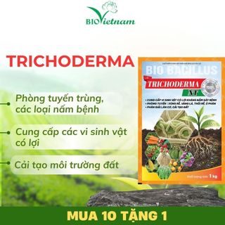 Chế phẩm vi sinh vật TRICODERMA NT 1kg cải tạo đất | BIO VIỆT NAM