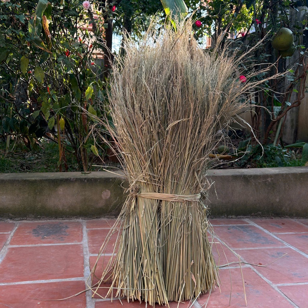 Rơm khô, Rơm Nếp khô sạch làm trang trí, decor , đốt làm tro đảm bảo ...