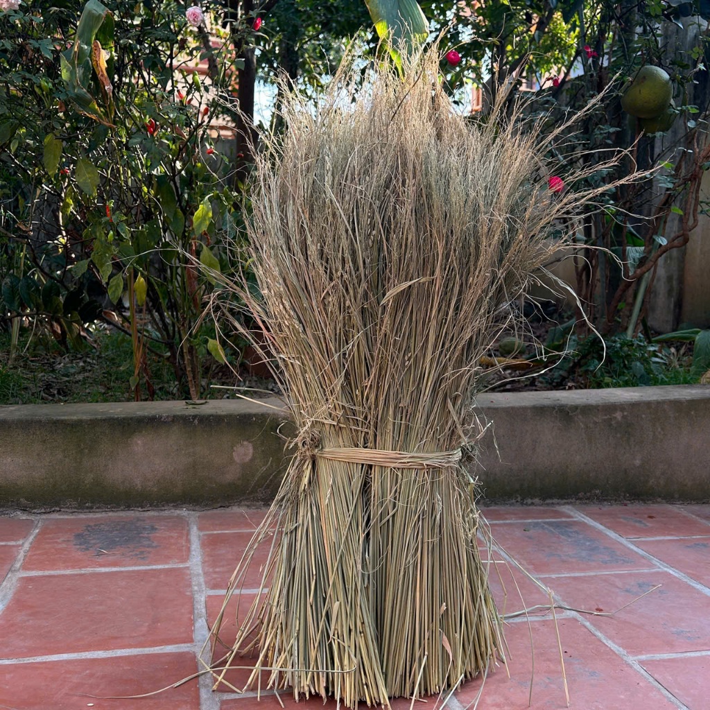 Rơm khô, Rơm Nếp khô sạch làm trang trí, decor, đốt làm tro đảm bảo ...