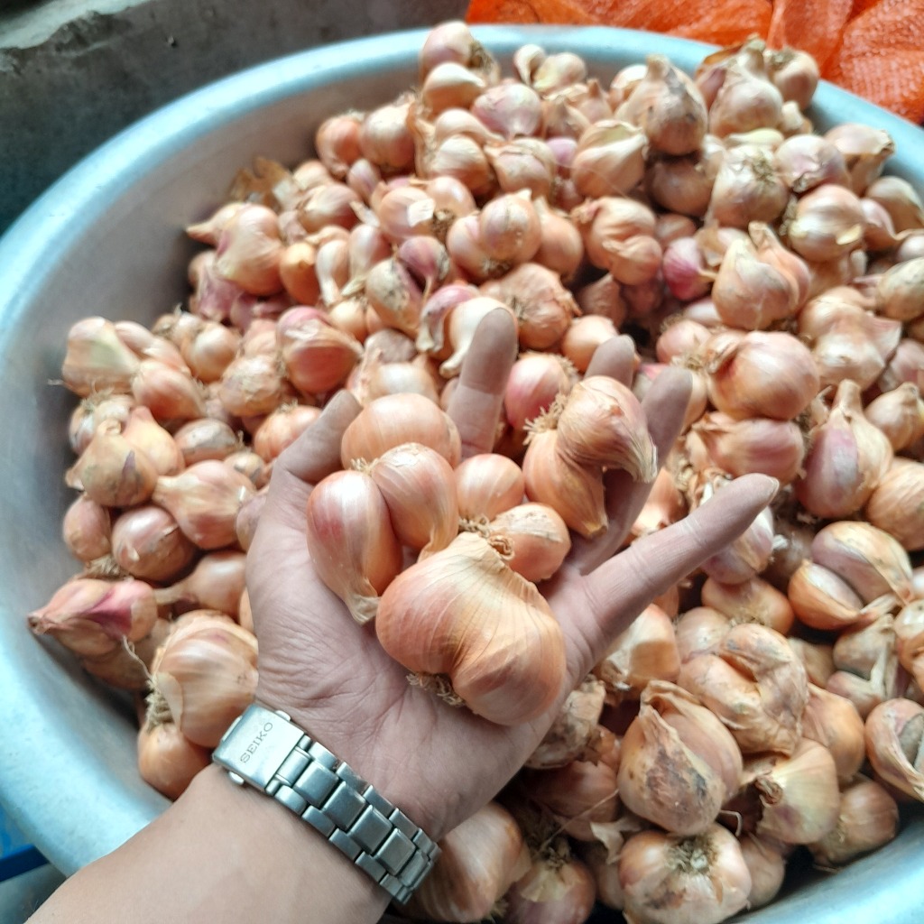 Hành ta khô Kinh Môn Hải Dương đã chọn lọc