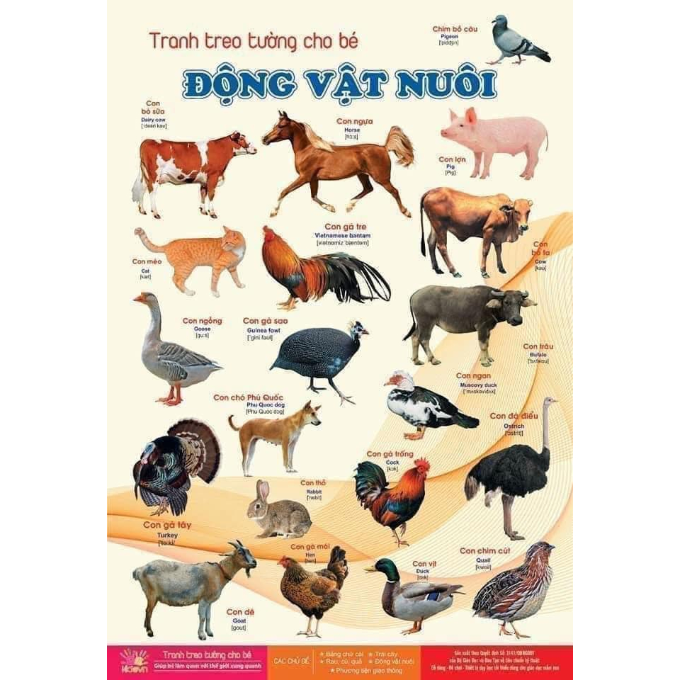 TRANH TREO TƯỜNG 12 CHỦ ĐỀ HỌC TẬP CHO BÉ