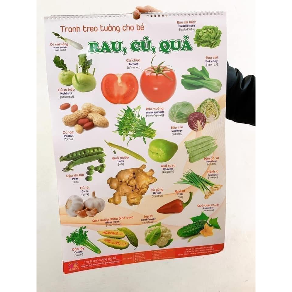 TRANH TREO TƯỜNG 12 CHỦ ĐỀ HỌC TẬP CHO BÉ