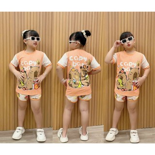 Quần áo bé gái đồ bộ thun lạnh loại 1 đùi mềm mịn mát cho bé từ 23kg đến 42kg
