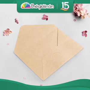Bao Thư Giấy Kraft ( Combo 10 cái )