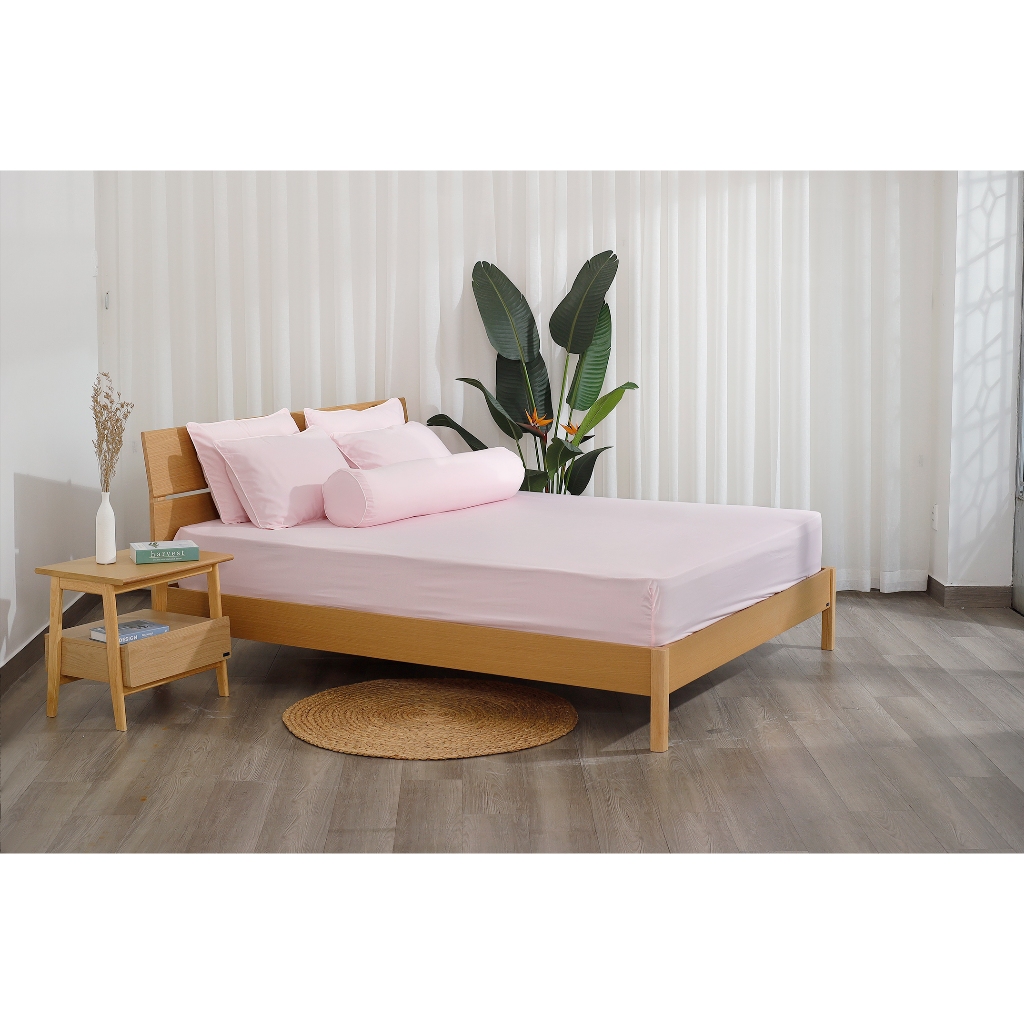 Ảnh Bộ ga chun/ bộ ga giường Hàn Quốc K-Bedding by Everon KMS chất vải Microfiber (không bao gồm chăn) 4