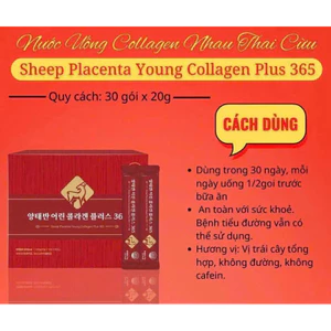 Nước Collagen Nhau Thai Cừu 365 Collagen Peptide Giúp Da Trắng Sáng Trẻ Hóa làn da