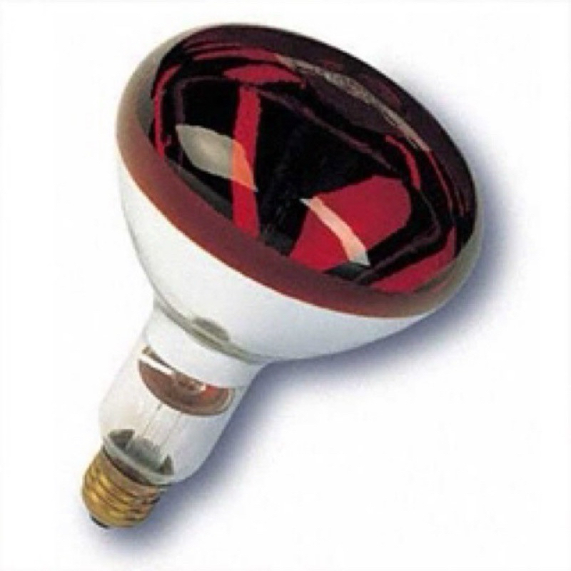 Đèn hồng ngoại chân thấp  Bayoka +bóng 250W ( có nút điều chỉnh tăng giảm)