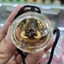 Mặt Dây Chuyền Naga 6cm Thailand – Quà Tặng Ý Nghĩa Cho Người Thân Giúp Tâm Trí Thư Thái