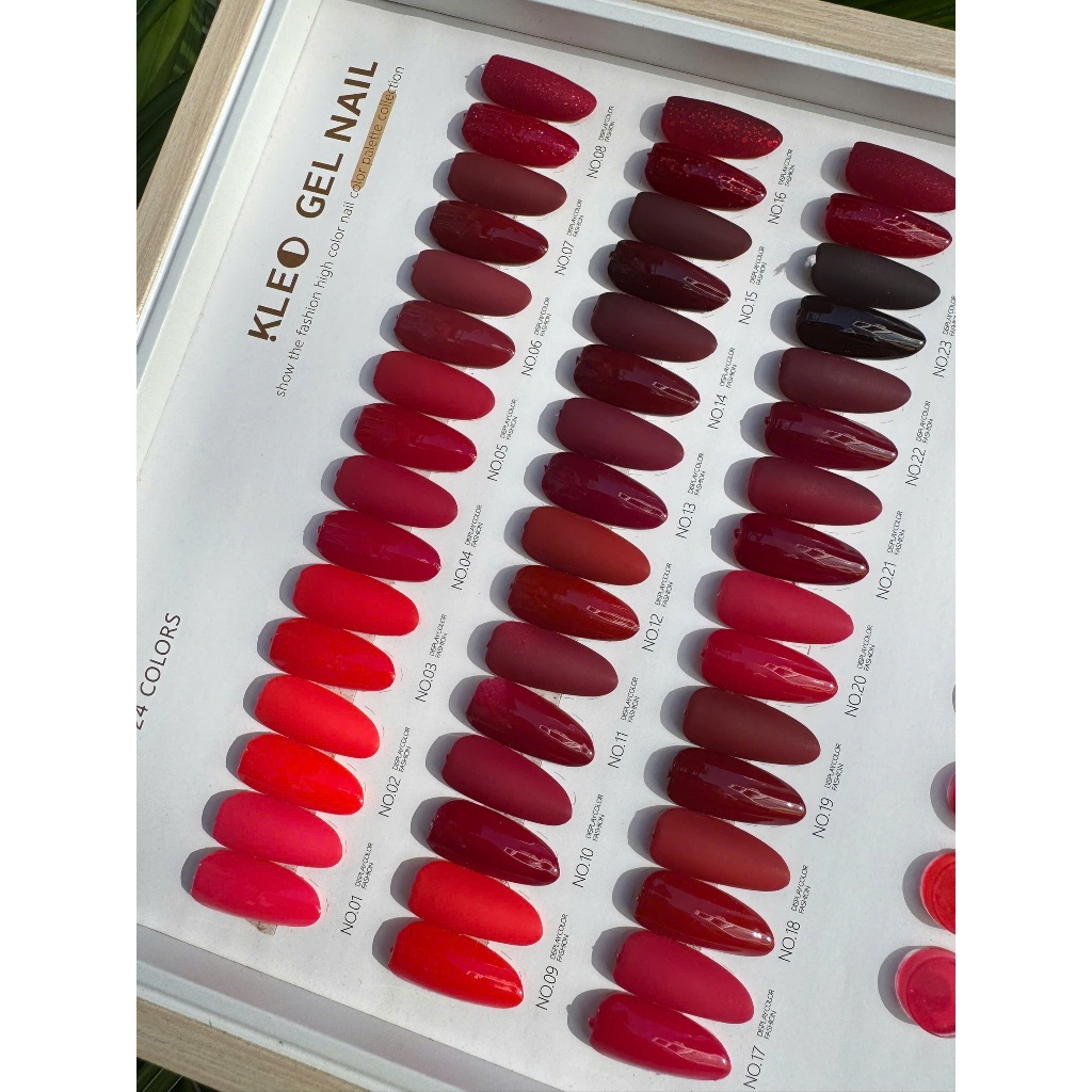[ƯU ĐÃI SẢN PHẨM MỚI] KLEO set sơn đỏ lẻ 24 màu chuyên dụng làm nail