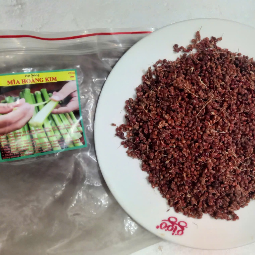 Hạt giống mía Hoàng Kim(1 gói 50h) _giống tốt