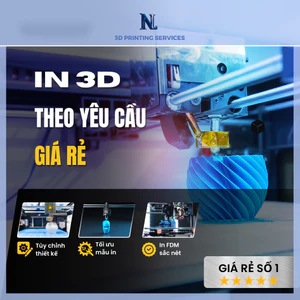 In 3D tại HN Giá Rẻ 600₫/gram theo yêu cầu | NL3D