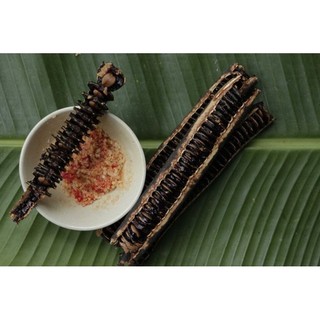 1kg trái ô mô ( canhkina) chín khô rụng tự nhiên