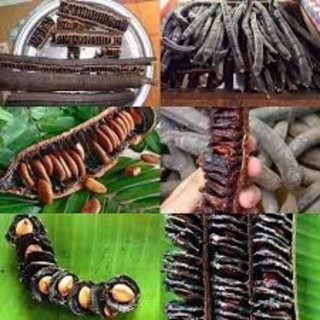 1kg quả ô môi rụng tự nhiên nhiều mật ngon ngọt tựa trái cây