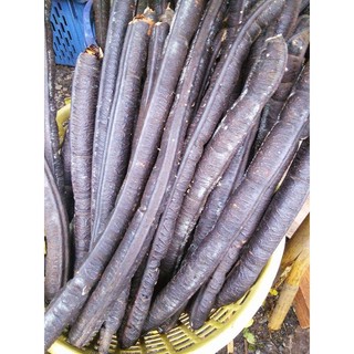 1kg ô môi tuổi thơ rụng tự nhiên nhiều mật( quả canh kí na)